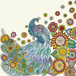 Fay's Studio Cards-Peacock