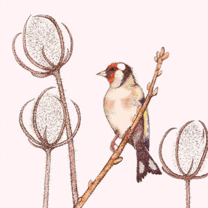 Fay's Studio Cards-Goldfinch