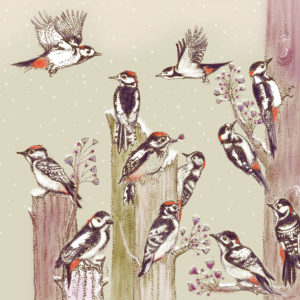 Fay's Studio Cards-Woodpeckers