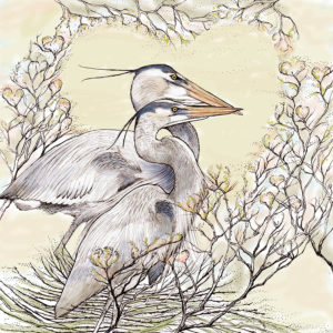 Fay's Studio Cards-Herons