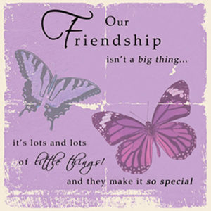 Our friendship lots of little things  Plaque