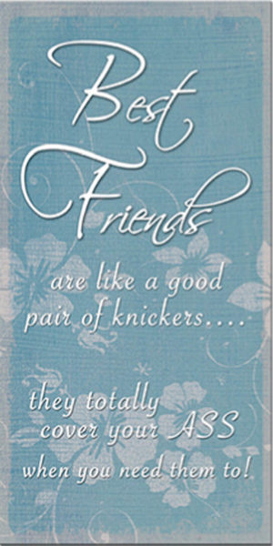 Best friends good knickers Plaque